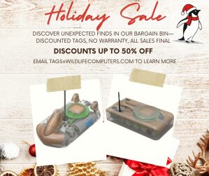 Christmas flyer with bargain bin holiday motif