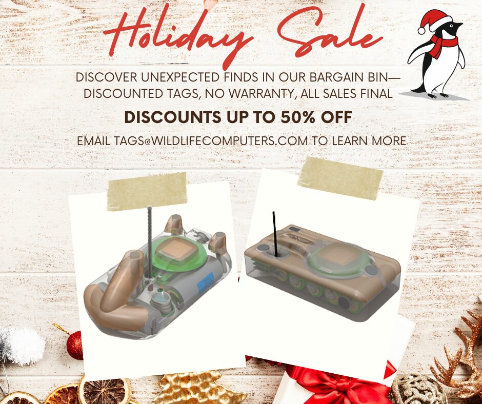 Christmas flyer with bargain bin holiday motif