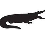 Crocodilia