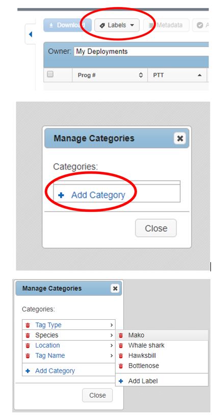 Steps to Creating Custom Labels