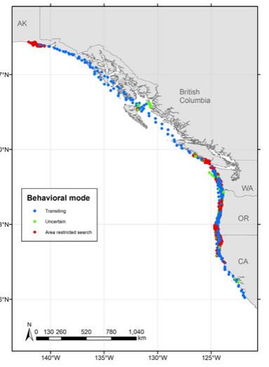 Feeding Home Ranges of Pacific Coast Feeding Group Gray Whales 