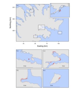 Alaskan Harbor Seals Data