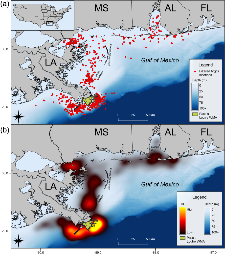 Documentation of Atlantic Tarpon Space Use and Move Persistence in the ...