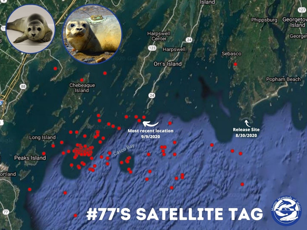 #77 satellite telemetry track