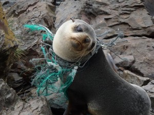 Seal with fishing line