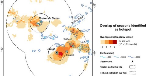 Marine hotspots of activity inform protection of a threatened community of pelagic species in a large oceanic jurisdiction